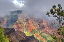 Cloud and mist beginning to quickly fill Waimea Canyon