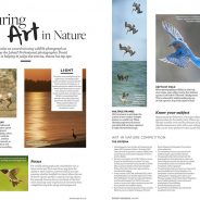 “Art In Nature” Photography Competition