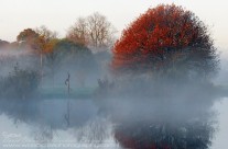 Colours Of A Morning Mist