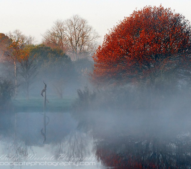 Colours Of A Morning Mist