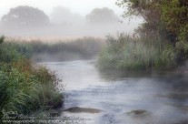 River Frome Meanders Through Morning Mist