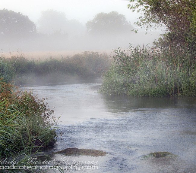 River Frome Meanders Through Morning Mist