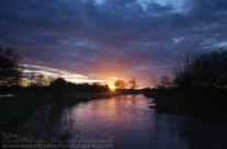 River Frome At Dawn
