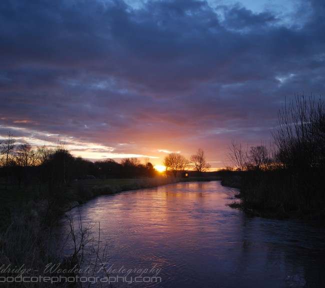 River Frome At Dawn