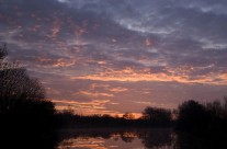 Sunrise on River Frome