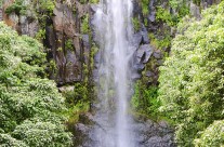 Waimea Falls, Oahu