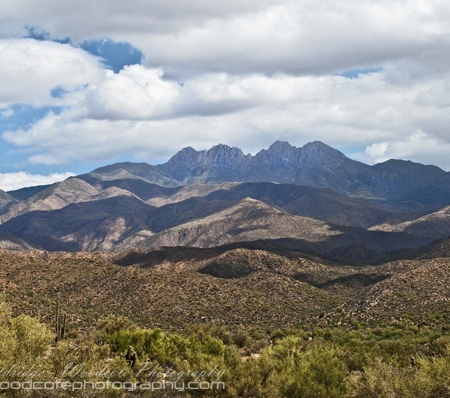 Mountain Vista from Forest Road 143, Arizona
