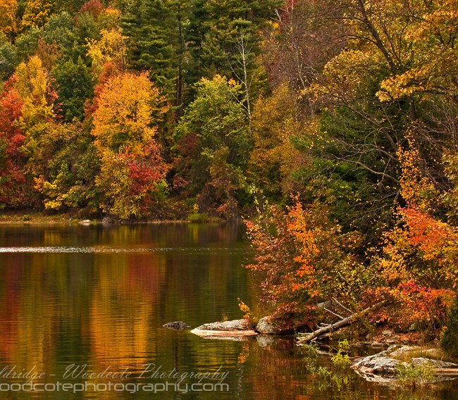 Fall Colours, skirting Nepaug Reservoir, Connecticut