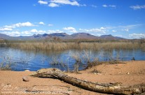 Fringes of Roosevelt Reservoir, Arizona