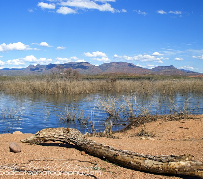 Fringes of Roosevelt Reservoir, Arizona