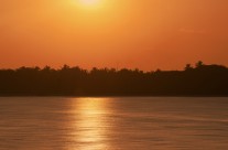 A strolling Heron taking in the gorgeous sunrise on Rangali Island