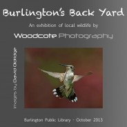 “Burlington’s Back Yard” Exhibition – October 2013