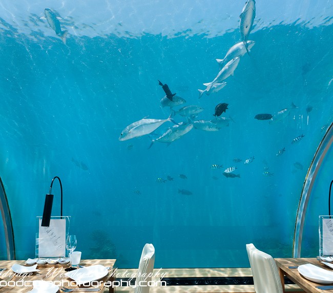 Interior of  Ithaa underwater restaurant